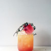 Rhubarb and Apple Sour