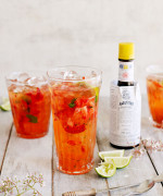 Summer Gin Muddle