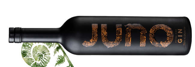 Juno v2