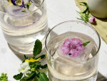 Elderflower Gin & Tonic