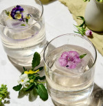 Elderflower Gin & Tonic