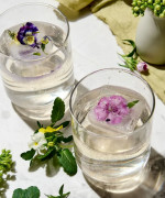 Elderflower Gin & Tonic