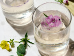 Floral Ice Cubes