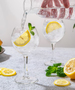 Gin & Tonic