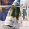 Elegant NZ-Made Sparkling Wines – For Under $20!