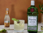 Tanqueray Ginger Mule