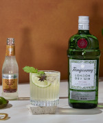 Tanqueray Ginger Mule