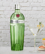 Tanqueray No.Ten Martini