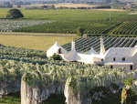 What Makes Hawke's Bay Perfect For Wine-Growing?