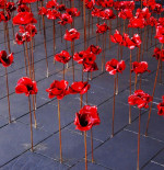 Poppy-Red Cocktails For Anzac Day