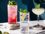 Drinks Recipes