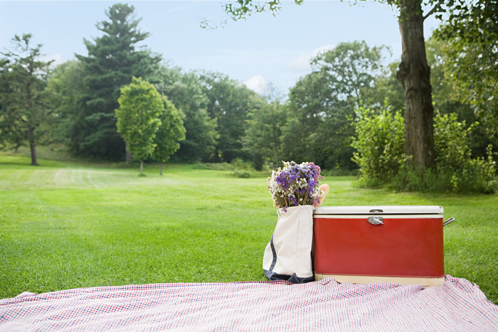 chilly bin chill box tips at a picnic for chilling wine