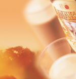 Spotlight on: Amarula