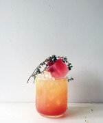 Rhubarb and Apple Sour