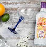 Trend Alert: Mediterranean Gin