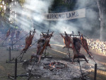 Burning Lamb, Burning Hot