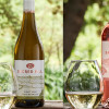 Perfect Wines For Summer