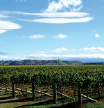 NEW ZEALAND WINE TOUR: HAWKE'S BAY