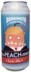 Behemoth Impeachment Sour Ale